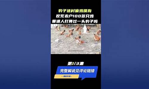 偷鸡摸狗打一最佳生肖_偷鸡摸狗打一生肖科学释义解析落实情况吗