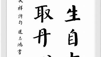 留取丹心照汗青_留取丹心照汗青上一句