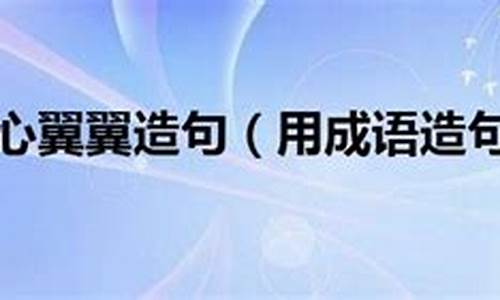 小心翼翼造句一年级上册简单