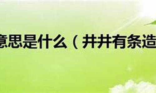 井井有条的意思造句不少于30字_用井井有条的意思造句30字