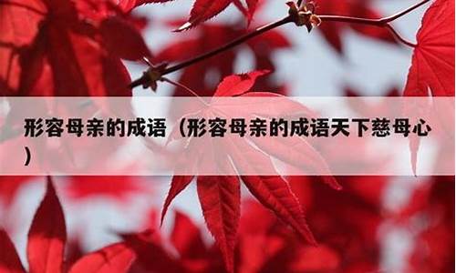 关于母亲的成语_关于母爱的成语