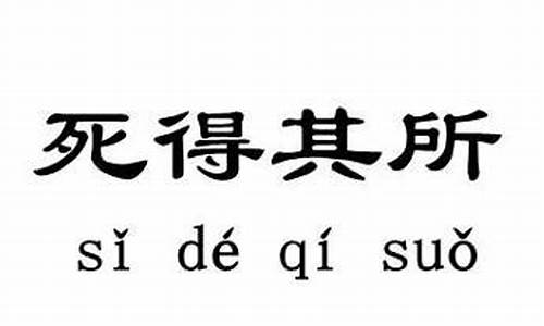 用死得其所造句一个句子_用死得其所写一句话