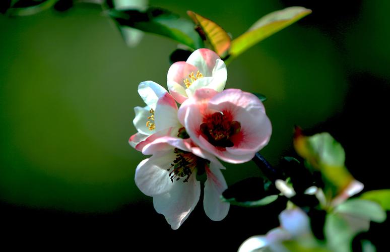 海市蜃楼造句子简短一点_海市蜃楼造句子简短一点一年级