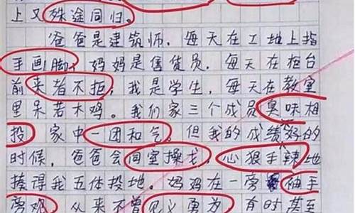 作文中运用四字成语的好处_作文中运用四字成语的好处是什么